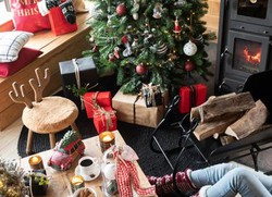 Afstoten Samengesteld Blaast op Online winkel met decoratieproducten voor Kerstmis - kerstballen, figuren  en centra — Area Gourmet