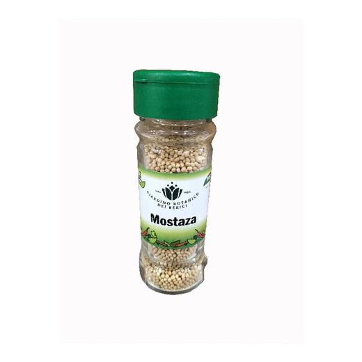 Biocop condimento de mostarda em grão 60 g bio orgânico