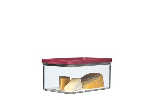 Omnia cheese container - nordic berry