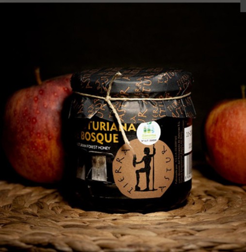 Miel de forêt asturienne Tierra Astur 410 grammes