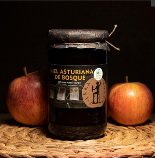 Miel de forêt asturienne Tierra Astur 750 grammes