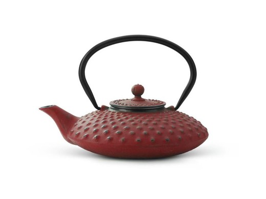 Bredemeijer teapot 0.8l with filter xilin red cast iron