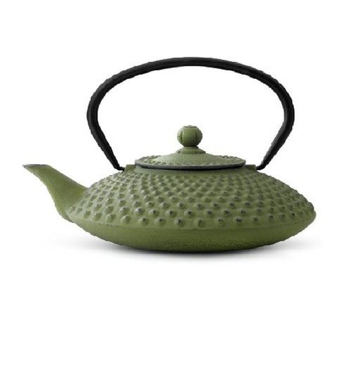 1.2l kettle with filter xilin green cast iron bredemeijer