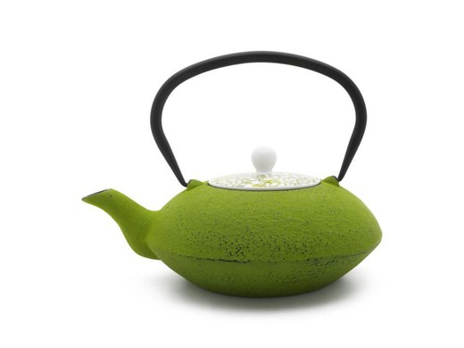1.2l yantai teapot with filter green cast iron bredemeijer