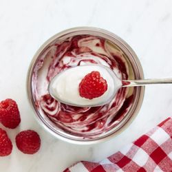 Pojemnik na żywność stały 295ml turkusowy zoku