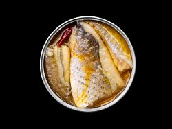 Corvina en Aceite de Oliva Virgen Extra Picante ABC+ Conservas Marisco Pescado Gourmet Portugal 120 g