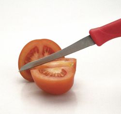 Faca de cozinha serrilhada Lacor