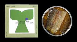 Filete de Trucha en Aceite de Oliva Virgen Extra y Limón ABC+ Conservas Marisco Pescado Gourmet Portugal 120 g