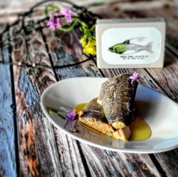 Filetes de Truta Fumada em Azeite José Gourmet