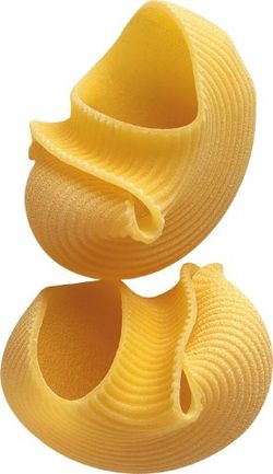 Lumaconi nº123 500g de cecco