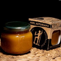 Miel Multiflora Tierra Astur 280 grs