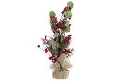 Christmas decorative plant