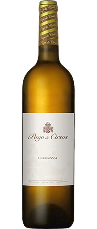 Vino pago cirsus chardonnay