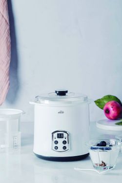 Fabricante de iogurte Maxi Lacor
